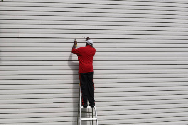 Professional Siding Installation & Repair in South Alamo, TX