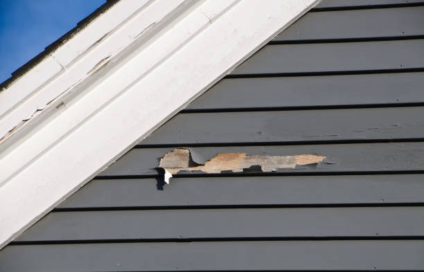 Best Insulated Siding Installation  in South Alamo, TX