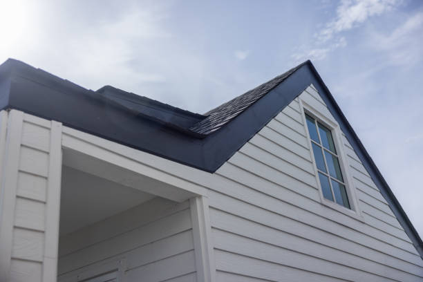 Best Siding Painting and Refinishing  in South Alamo, TX