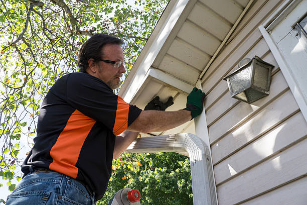 Best Fiber Cement Siding Installation  in South Alamo, TX